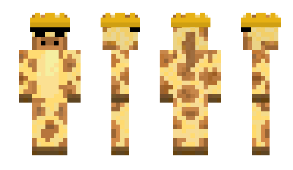 Minecraft skin CamelLeopard