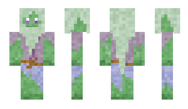 Minecraft skin IAO