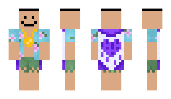 Minecraft skin VeRrN