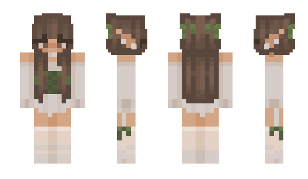 Minecraft skin FastLynx