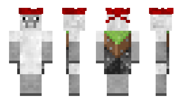 Minecraft skin Raipsito