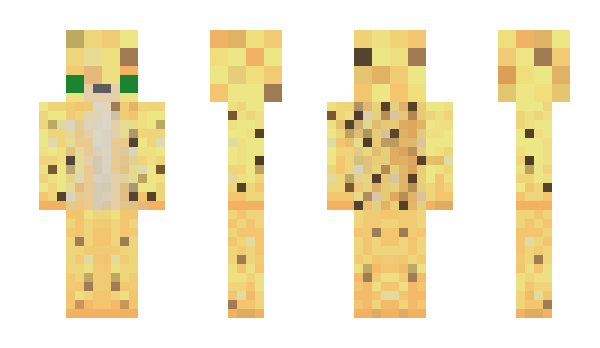 Minecraft skin 9Kx