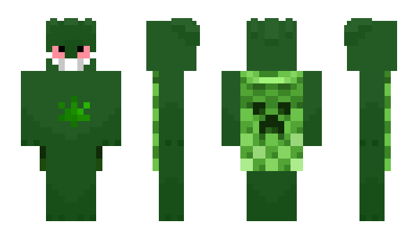 Minecraft skin AgentUSB