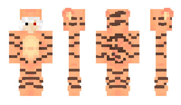Minecraft skin Tigsz