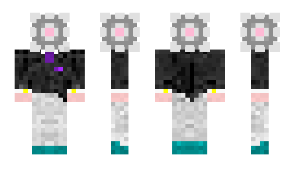 Minecraft skin Transferred