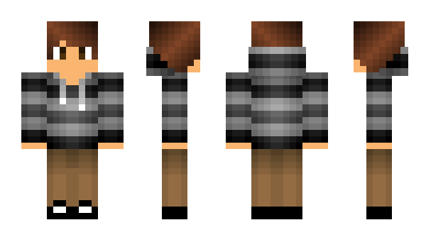 Minecraft skin LiNiXz