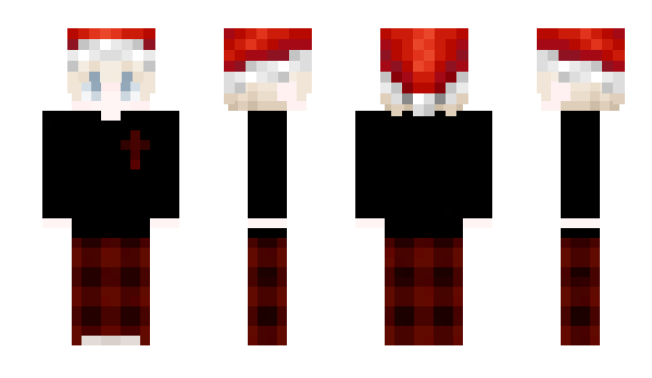 Minecraft skin swsz