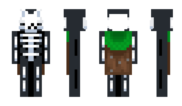 Minecraft скин по нику titanthecat1