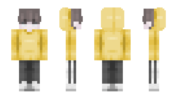 Minecraft skin Magnetis