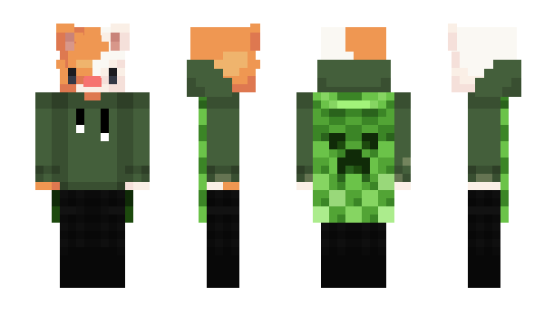 Minecraft skin Cro70