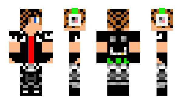 Minecraft skin Z_j