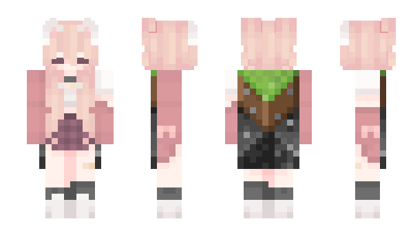 Minecraft skin WitherZombi