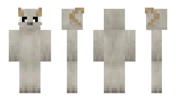 Minecraft skin biqueton