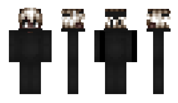 Minecraft skin Ranilty