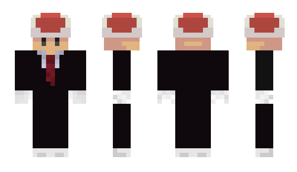 Minecraft skin Rayzne