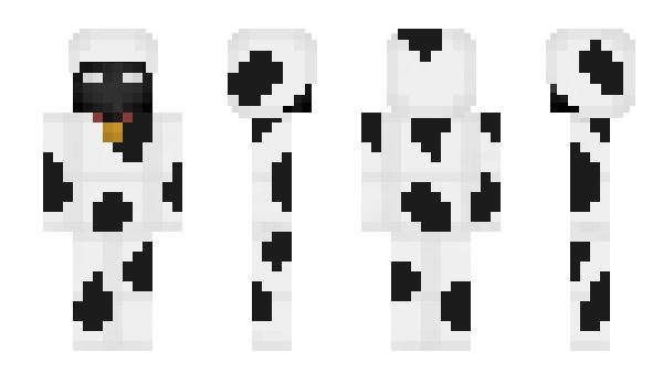 Minecraft skin BowIVC