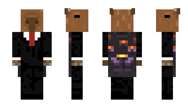 Minecraft skin roly17