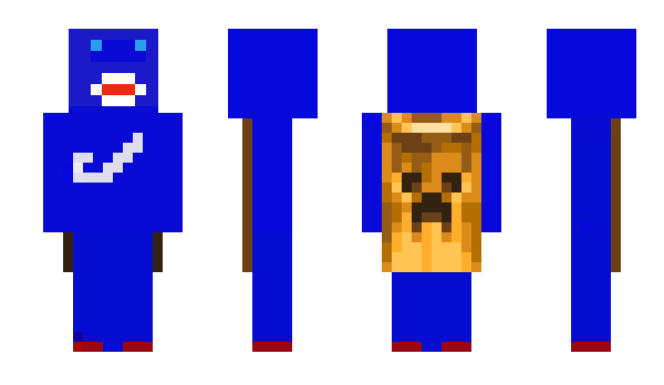 Minecraft скін по ніку POLLOGE