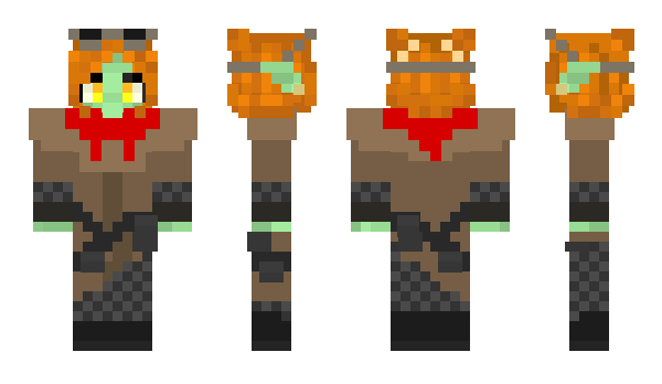 Minecraft skin Cgxg