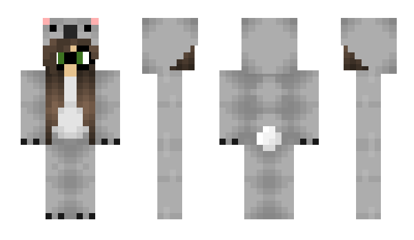 Minecraft skin CakeZeCat