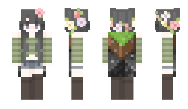 Minecraft skin f9rt
