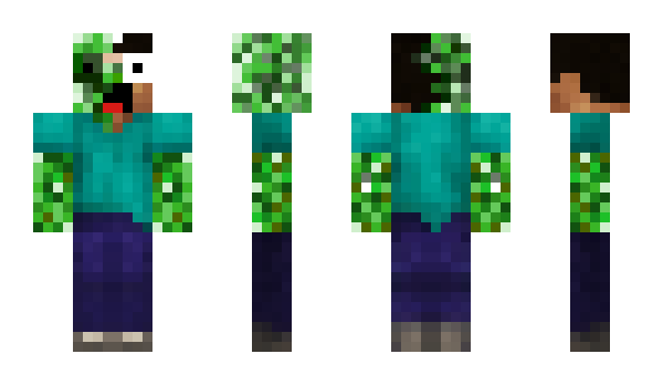 Minecraft skin platipus100
