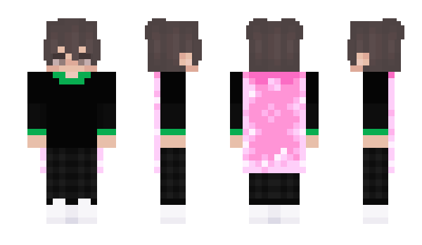 Minecraft skin Ponchik143