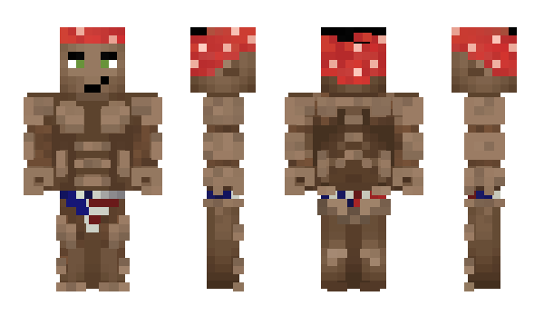 Minecraft skin s113