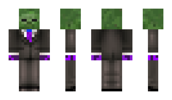 Minecraft skin Seacret01