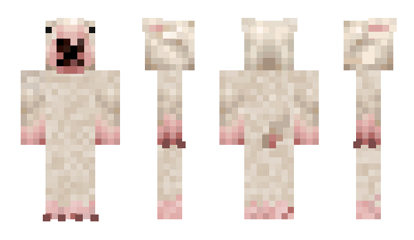 Minecraft skin Evokado