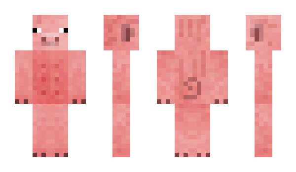 Minecraft skin WolReg