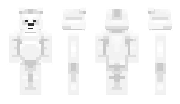 Minecraft skin bolr