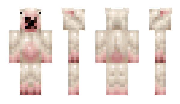 Minecraft skin megumimi