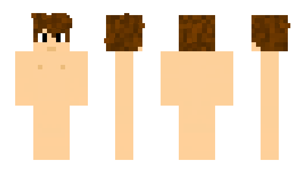 Minecraft skin loris208