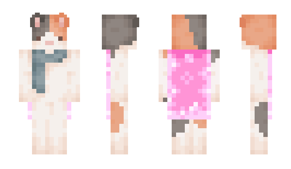 Minecraft skin trtr1753