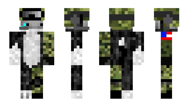 Minecraft skin snekk