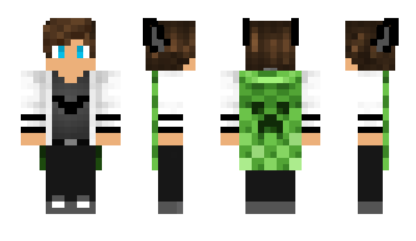 Minecraft skin SoloProtector