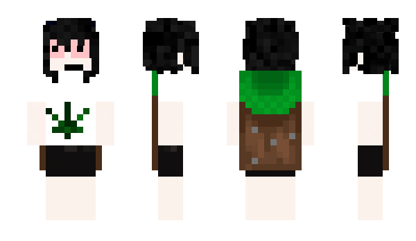 Minecraft скин по нику EUVIVOPORELA