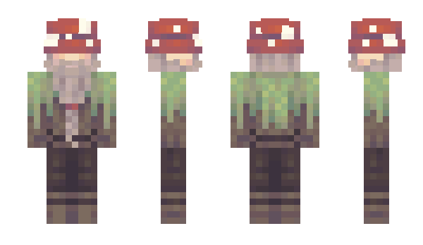 Minecraft skin Pipca