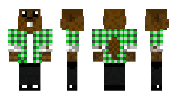 Minecraft skin BarzoBarzo