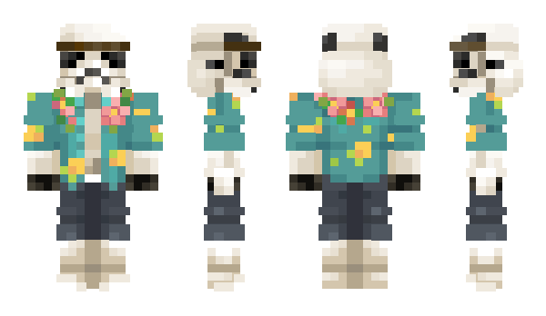 Minecraft skin Withzins