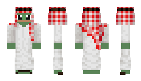 Minecraft skin AruAkise_