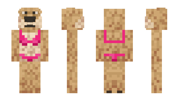 Minecraft skin tokyi