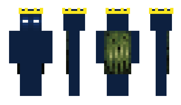 Minecraft skin BottledIce