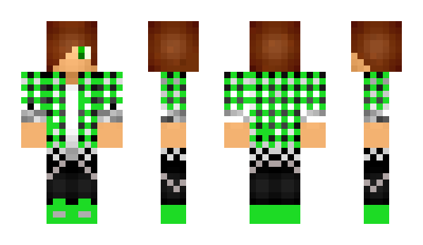 Minecraft skin EHPACP