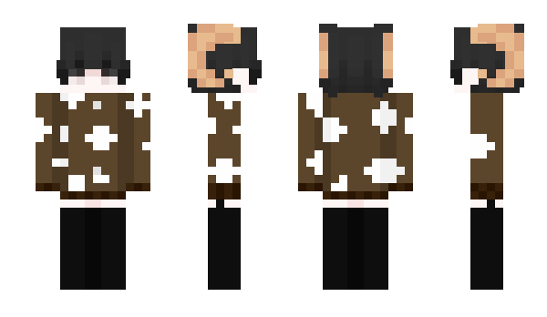 Minecraft skin wner