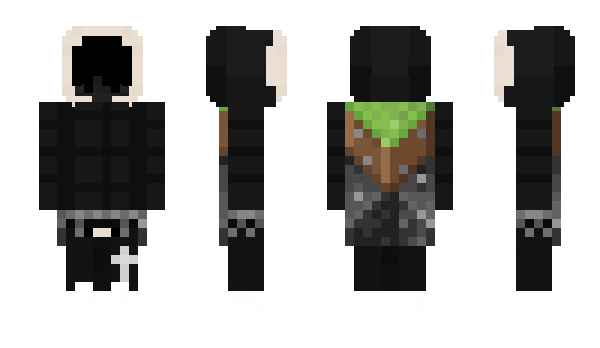 Minecraft skin Xanei