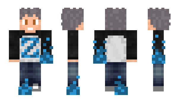 Minecraft skin Agacat