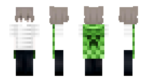 Minecraft skin sinum