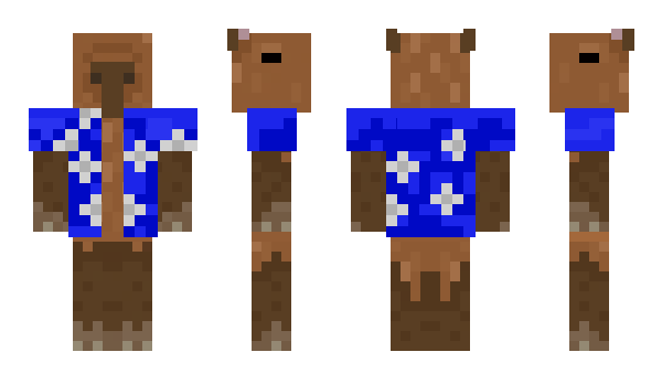 Minecraft skin Mlff